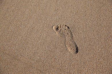 《飙酷车神 2》第八季第一章“USST CITIES” 明日上线